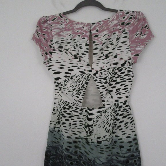 Silence + Noise Multi Color Ombre Cheetah Print Dress - Picture 5 of 9